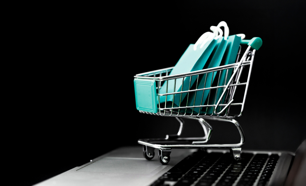 How to Launch Your B2B eCommerce Website with WordPress?