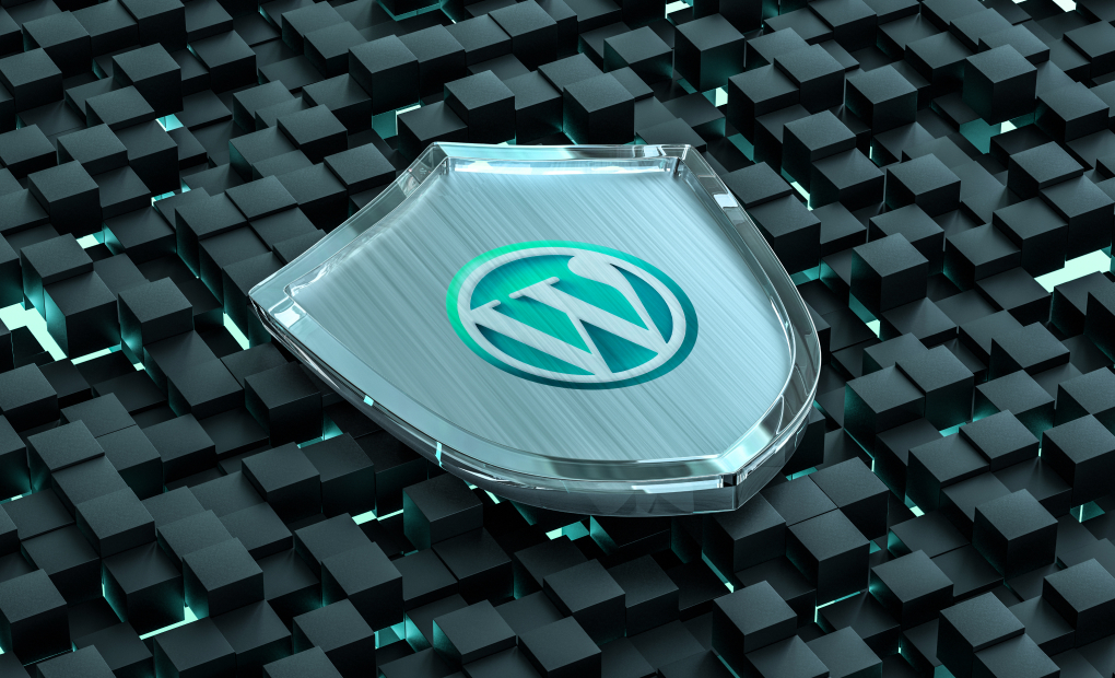 Patchstack’s New Managed VDP: A Game-Changer for WordPress Security